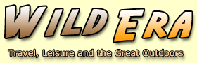 Logo-wildera-com.gif