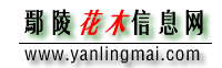 Logo-yanlingmai-com.gif
