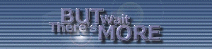 Logo-but-wait-theres-more-com.gif