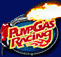 Logo-racesupercars-com.gif