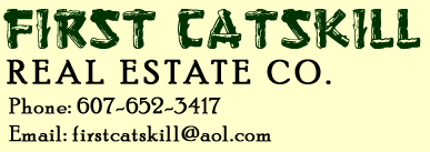 Logo-firstcatskill-com.gif