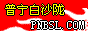 Logo-pnbsl-com.gif
