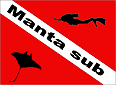 Logo-reccosub-it.gif