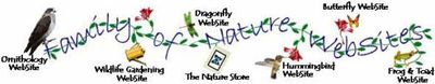 Logo-hummingbirdwebsite-com.jpg