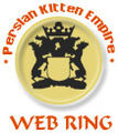 Thumbnail for version as of 16:11, 13 August 2007