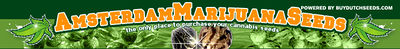 Logo-amsterdammarijuanaseeds-net.jpg