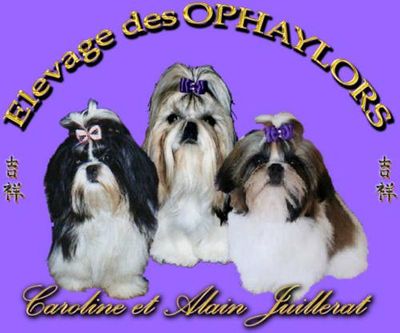 Logo-le-shih-tzu-ch.jpg