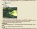 Thumbnail for version as of 03:57, 21 January 2007
