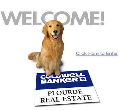 Logo-coldwellbankerplourde-com.jpg
