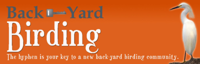 Logo-back-yardbirding-com.png
