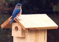 Thumbnail for version as of 08:56, 21 June 2006