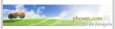 Logo-pboxen-com.png