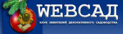 Logo-websad-ru.jpg