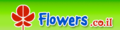 Thumbnail for version as of 09:20, 20 June 2006