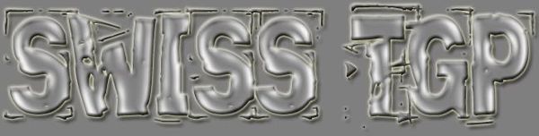 Logo-swisstgp-com.jpg