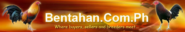Logo-bentahan-com-ph.gif