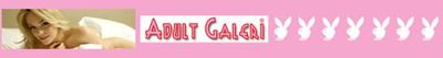 Logo-adultgaleri-com.gif