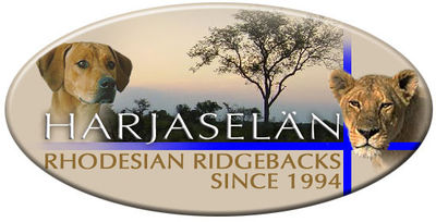 Logo-harjaselan-com.jpg