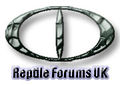 Thumbnail for version as of 09:19, 21 June 2006