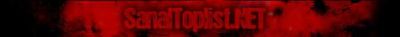 Logo-sanaltoplist-net.png