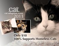 CatAdoptionTeam2011Calendar.jpg