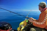 Deepseafish.jpg