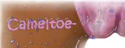 Logo-cameltoe-world-com.jpg