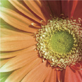 Thumbnail for version as of 00:03, 4 May 2008
