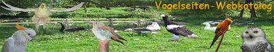 Logo-vogelseiten-net.jpg