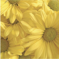 Thumbnail for version as of 00:04, 4 May 2008
