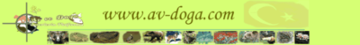 Logo-av-doga-com.gif