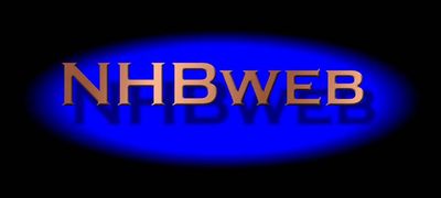 Logo-nhbweb-com.jpg
