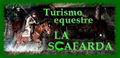 Thumbnail for version as of 23:16, 20 June 2006