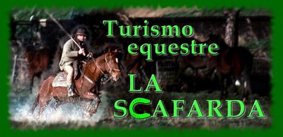 Logo-lascafarda-it.jpg