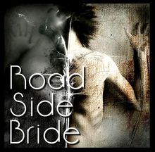 roadside logoor whatever.jpg