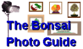 Thumbnail for version as of 18:15, 11 November 2006