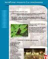 Thumbnail for version as of 08:56, 12 September 2006