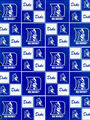 Thumbnail for version as of 15:38, 21 June 2006