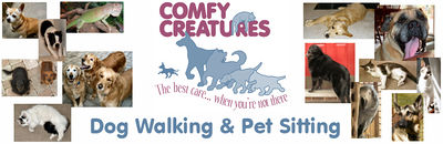 Logo-comfycreatures-com.jpg
