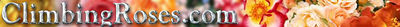 Logo-climbingroses-com.jpg