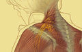 Thumbnail for version as of 22:46, 9 September 2007