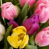 tulips bouquet 1 1.jpg