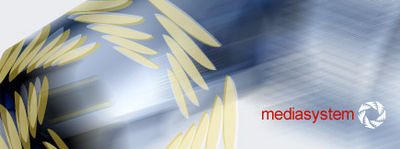 Logo-mediasystem-ru.jpg