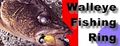 Thumbnail for version as of 20:07, 20 June 2006