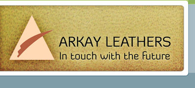 Logo-arkayonline-com.jpg
