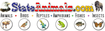 Logo-stateanimals-com.gif