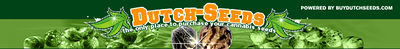 Logo-dutch-seeds-nl.jpg