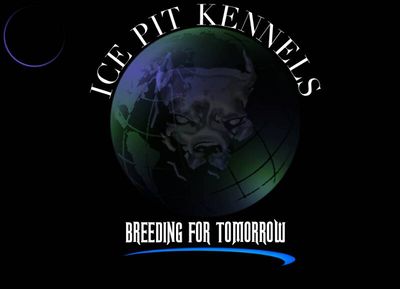 Logo-icepits-com.jpg
