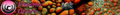Thumbnail for version as of 20:35, 3 October 2008