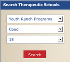 troubledteenswizard-search.png